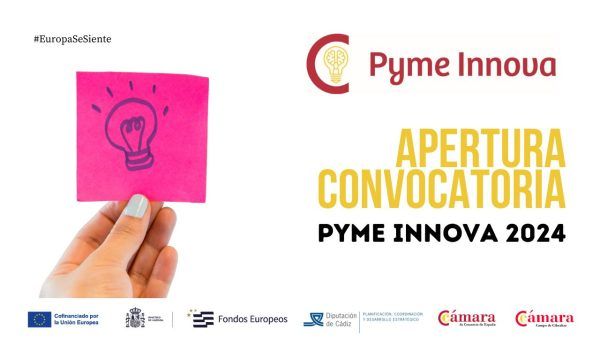 Convocatoria Ayudas Programa Pyme Innova 2024